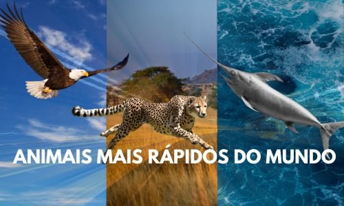 Os Animais Mais Velozes do Mundo